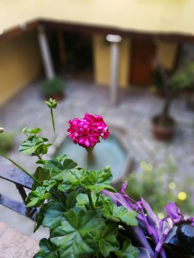 Alh Patio Apartamentos Granada Esterno foto